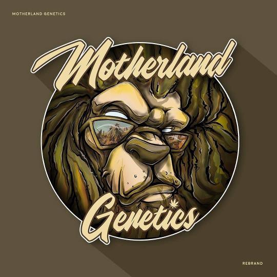 Motherland Genetics's image