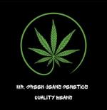 Mr. Green Jeans Genetics's image