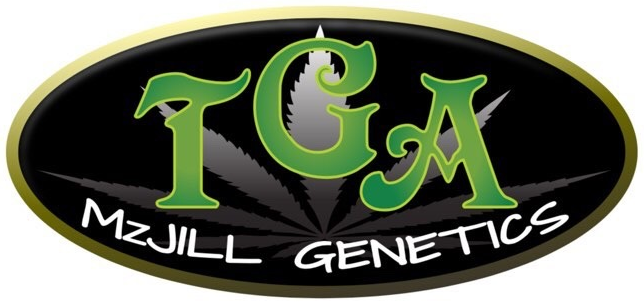 MzJill Genetics's image