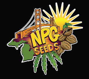 NPG Seeds's image