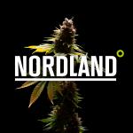 Nordland Seeds's image