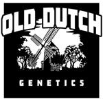 Old Dutch Genetics's image