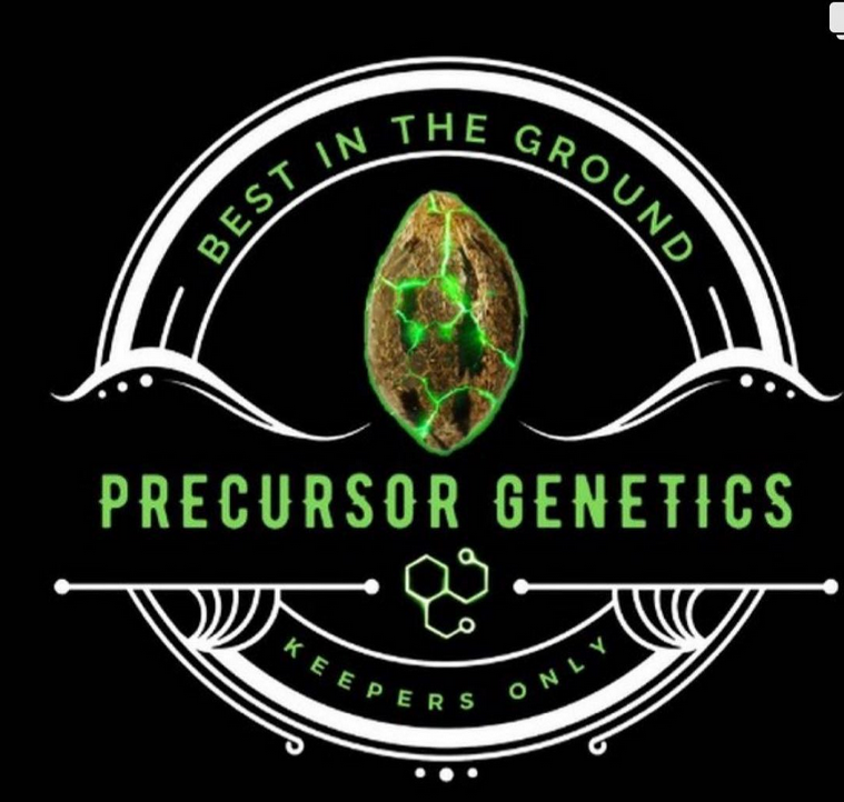 Precursor Genetics's image