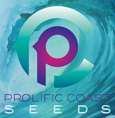 Prolific Coast Seeds's image