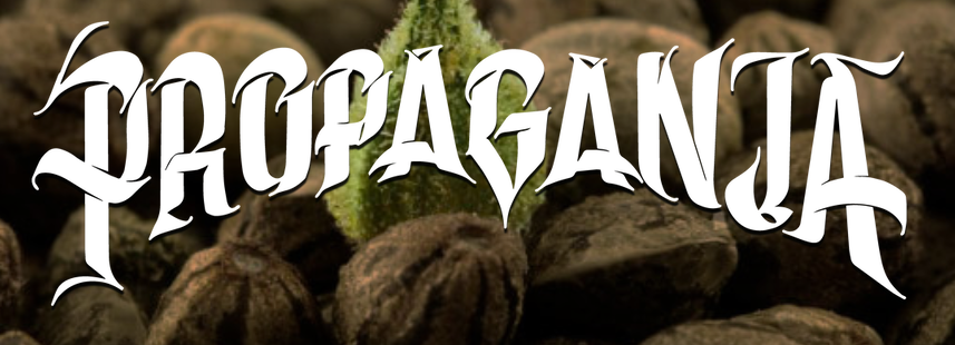 Propaganja Seeds's image