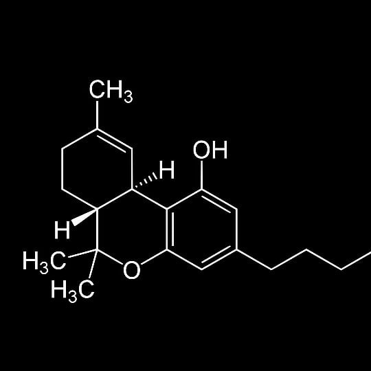 Rabid Genetics's image