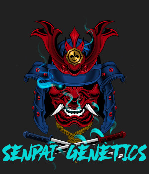 Senpai Genetics's image