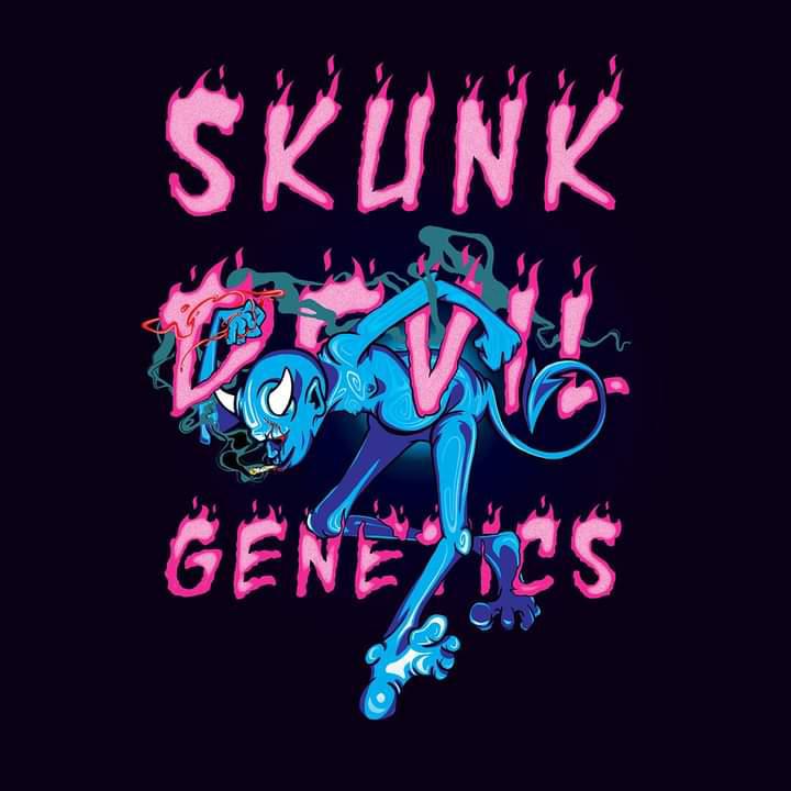 Skunk Devil Genetics's image