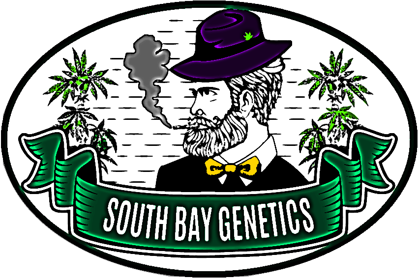 South Bay Genetics's image