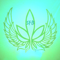 Sweet Funky Breeze Seeds's image