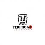 Terp Hogz's image