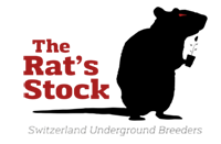 The Rat’s Stock's image