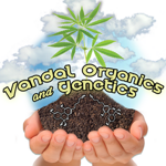 Vandal Genetics's image