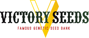 Victory Seeds's image