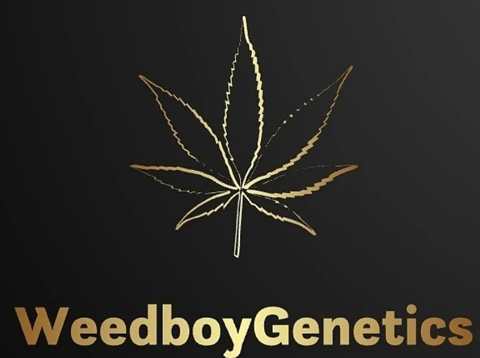 WeedboyGenetics's image