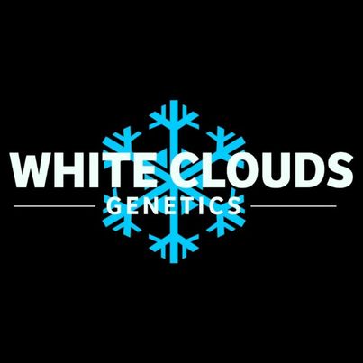 White Clouds Genetics's image