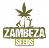 Zambeza's image