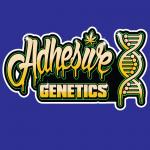 Adhesive Genetics's image