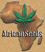 African Seeds's image