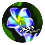 Aloha Embassy's image