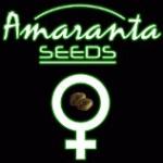 Amaranta Seeds's image