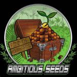 Ambitious Seeds's image