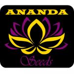 Ananda Seeds's image