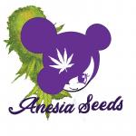 Anesia Seeds's image