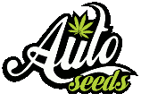 Auto Seeds's image