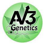 AV3 Genetics's image