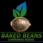 Baked Beans Cannabis Seeds's image