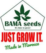 BAMA Seeds's image