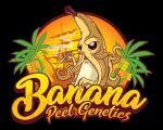 Banana Peel Genetics's image