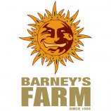 Barneys Farm's image