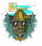 Breaking Buds Seeds's image