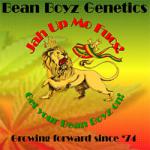 Bean Boyz Genetics's image