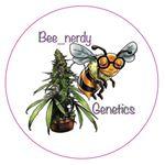 Bee Nerdy's image