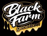 Black Farm Genetix's image