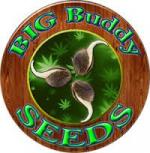 Big Buddy Seeds's image