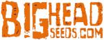 Big Head Seeds's image