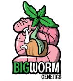 Bigworm Genetics's image