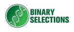 Binary Selections's image