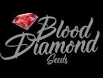 Blood Diamond Seeds's image