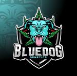 Bluedog Genetics's image