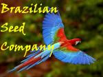 Brazilian Seed Company's image