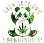 Burning River Genetics's image