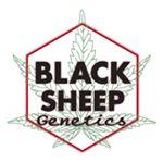 Black Sheep Genetics's image