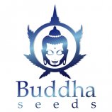 Buddha Seeds's image