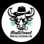 Bullseed Argentina's image