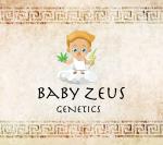 Baby Zeus Genetics's image